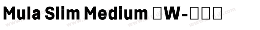 Mula Slim Medium 中W字体转换